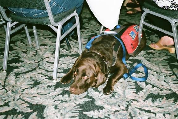 Patsy - She loves to have her photo taken. - Photo courtesy of Mike & Kathy Bayne.