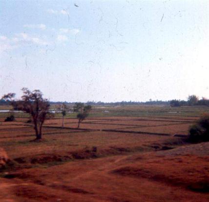 Dried Up Rice Paddies Along Highway #1A                    