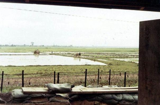 Looking Out The Back Doors