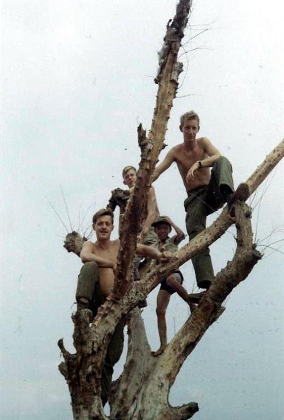 A Busy Day At The Site