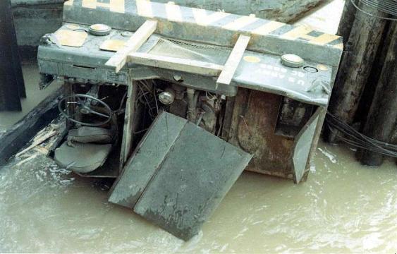 Another Crane In The River