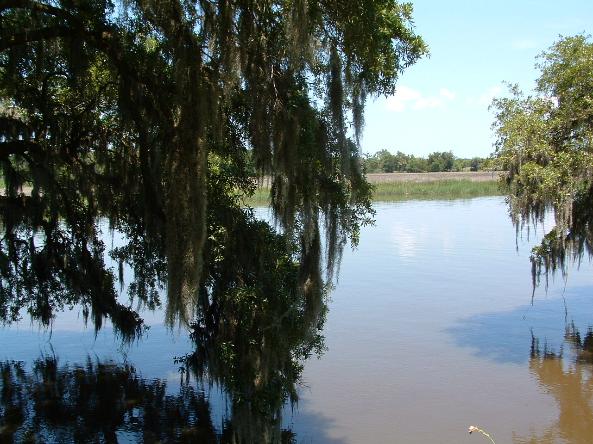 Magnolia Gardens - Photo courtesy of Randy & Jan Richmond.