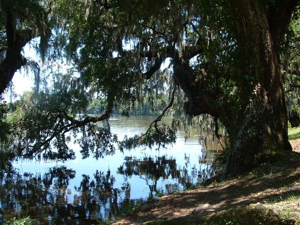 Magnolia Gardens - Photo courtesy of Randy & Jan Richmond.