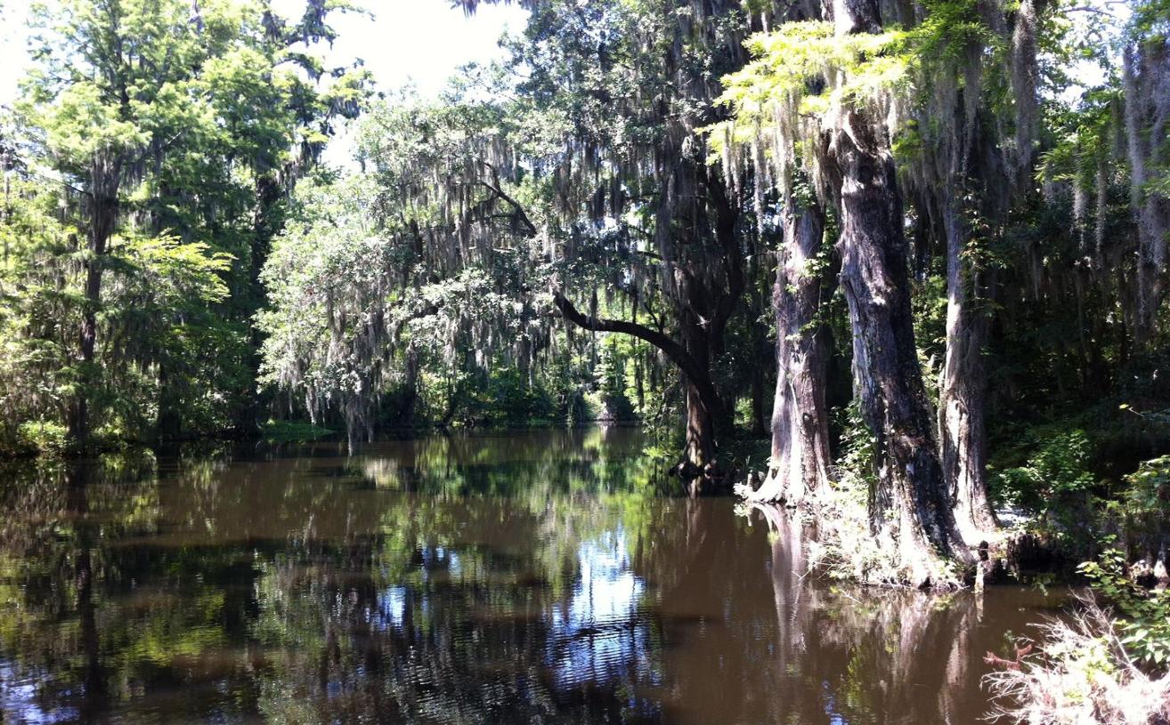 Reflections At Magnolia Gardens - Photo courtesy of Al & Carol Furtado.