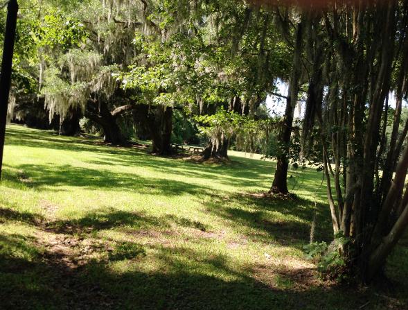 Magnolia Gardens - Photo courtesy of Keith & Sue Rowell.