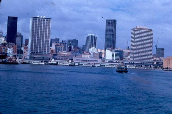 Sydney Skyline And Harbor Ferries