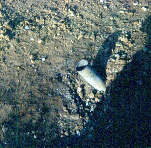 Close Up Of The Half Blown 122MM Rocket